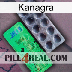 Kanagra new04